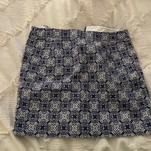 J Crew Skirt